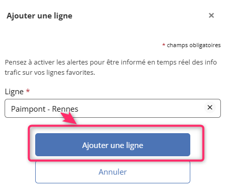 Impression écran de la zone où ajouter une ligne
